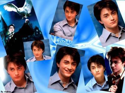 harry potter
