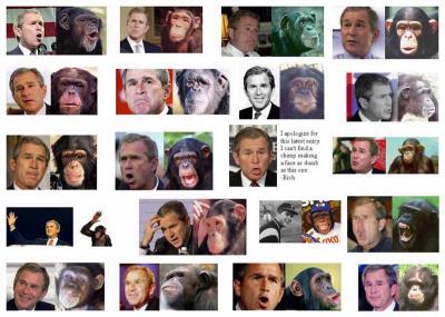 la grande ressemblance
